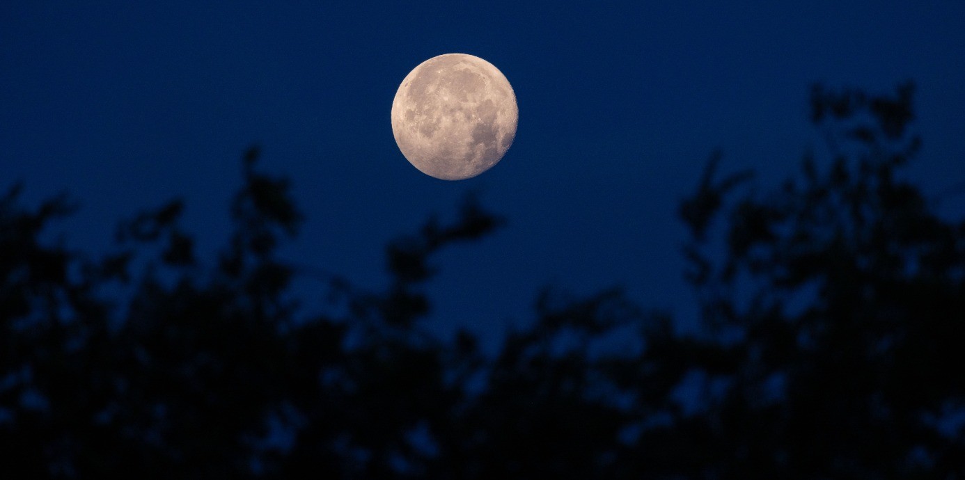 中秋節為何有烤肉習俗？挑戰中秋5大減碳行動